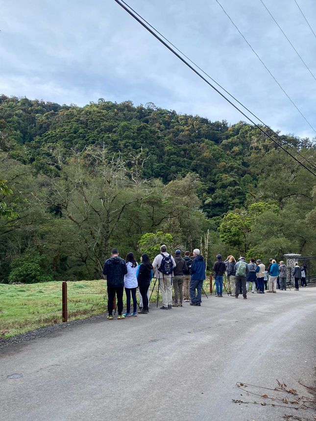 Bird watching in Costa Rica