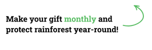 Make-your-gift-monthly-and-protect-rainforest-year-round